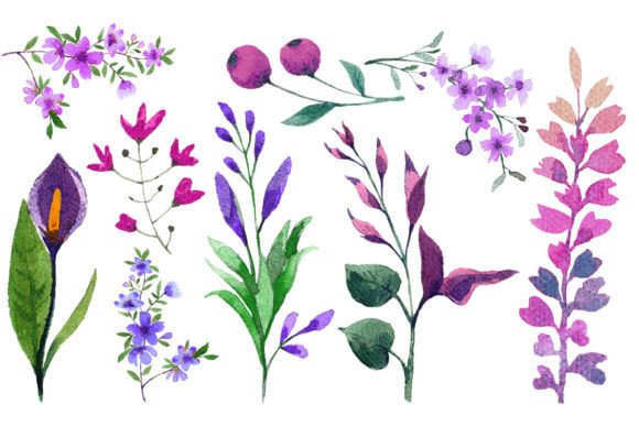 Download Watercolor Flower Elements Set - Flow Collection