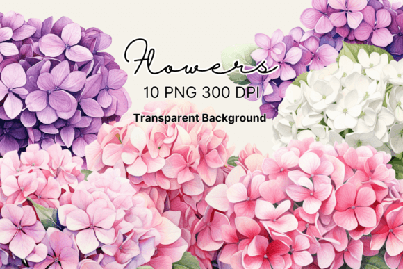 Download Watercolor Hydrangea Flowers Clipart - Flow Collection