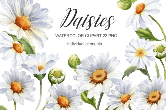 Download Watercolor Daisy Flower Clipart - Flow Collection