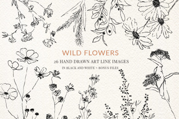 Download Wild Flowers Fine Line Clipart Hand Draw - Flow Collection
