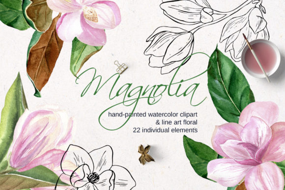 Download Pink Magnolia Watercolor, Lineart Flower - Flow Collection