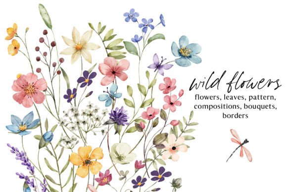Download Wild Flowers, Butterflies and Dragonfly. - Flow Collection