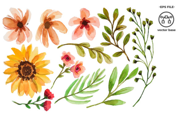 Download Watercolor Flower Elements - Flow Collection