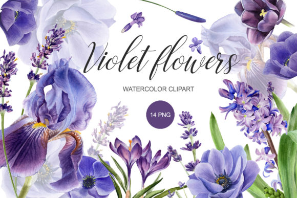 Download Watercolor Purple Flower Clipart. PNG - Flow Collection